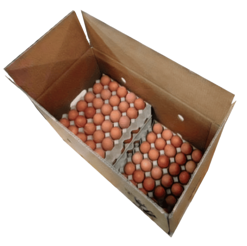 Jumbo Bulk Eggs